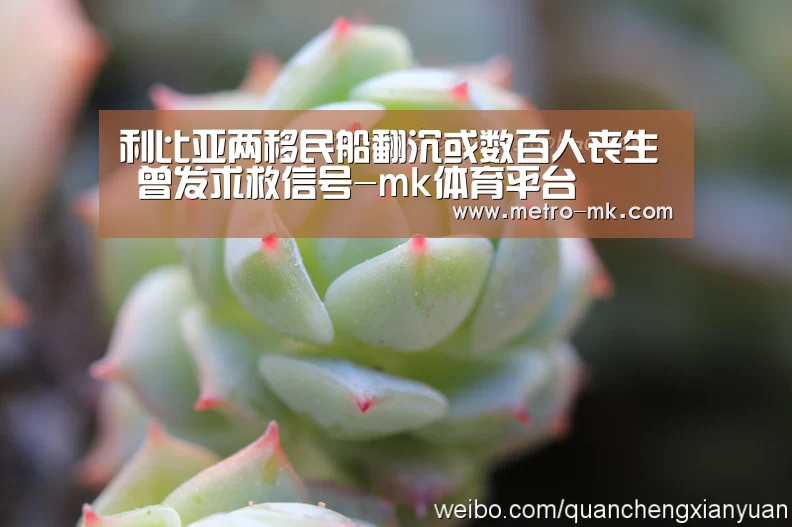 利比亚两移民船翻沉或数百人丧生 曾发求救信号-mk体育平台