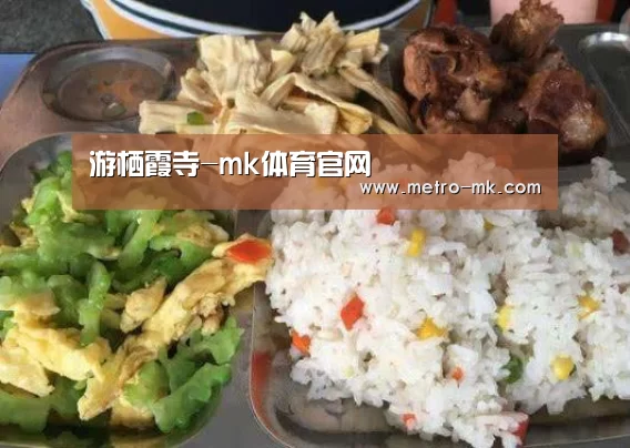 mk体育入口