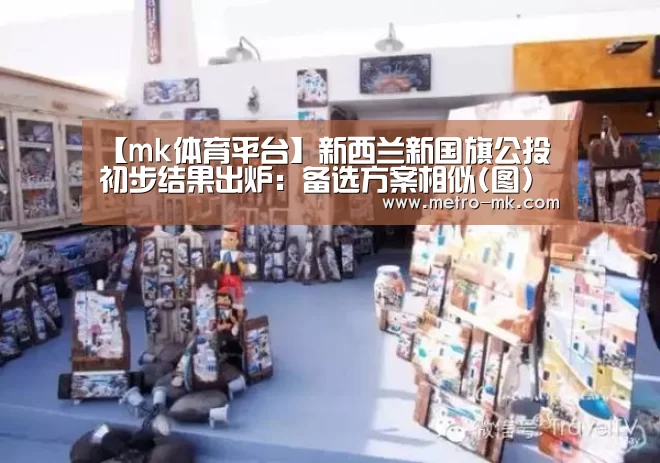【mk体育平台】新西兰新国旗公投初步结果出炉：备选方案相似(图)