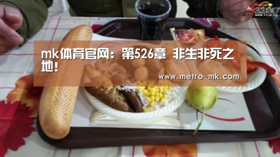 mk体育官网：第526章 非生非死之地！