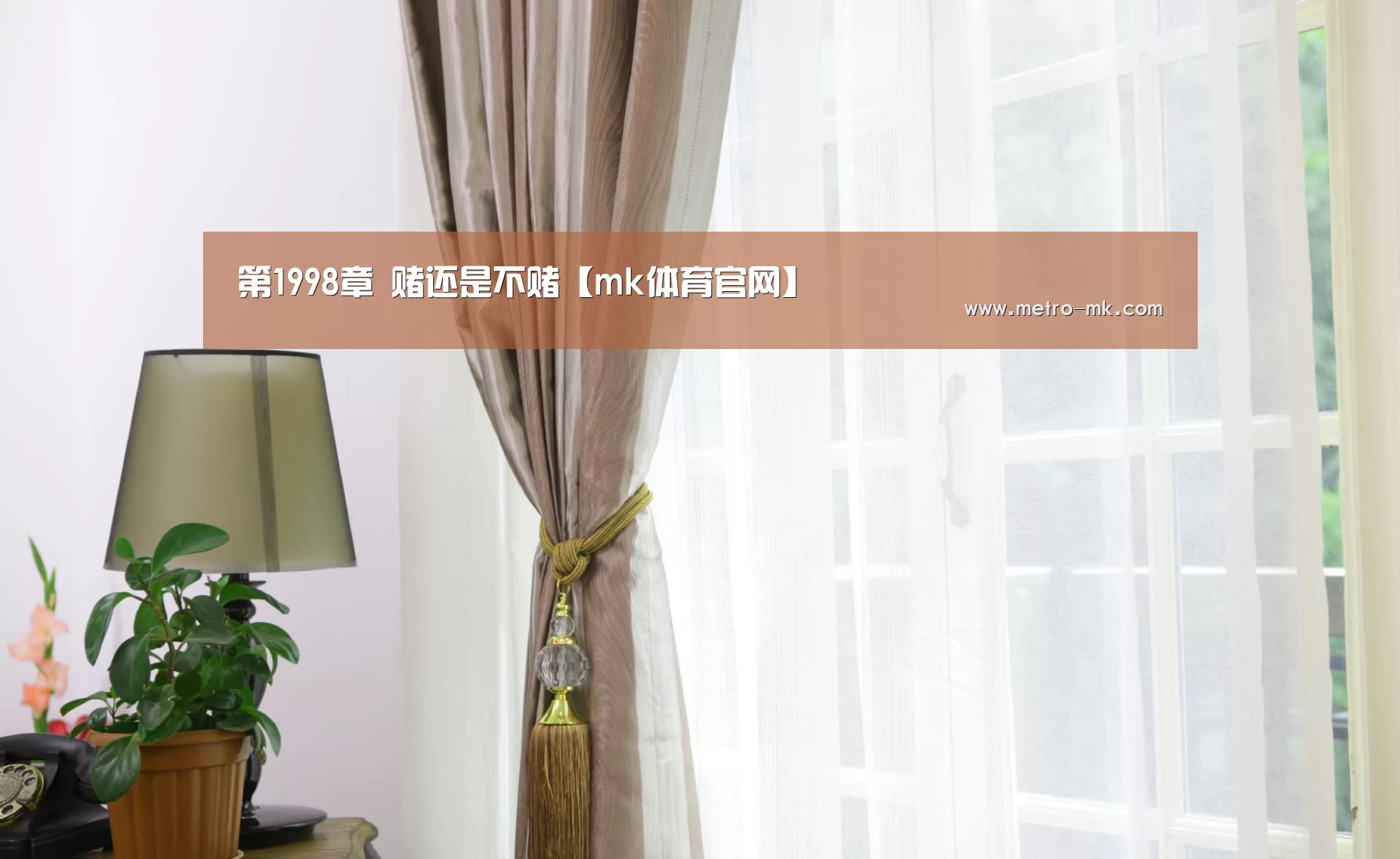 第1998章 赌还是不赌【mk体育官网】(图2) mk体育平台