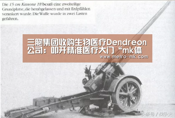 mk体育官网