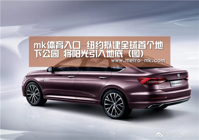 mk体育入口-纽约拟建全球首个地下公园 将阳光引入地底（图）