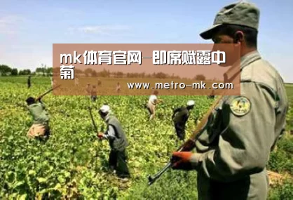 mk体育入口